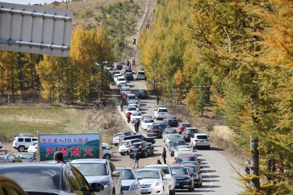 内蒙车祸最新消息，司机状况概述