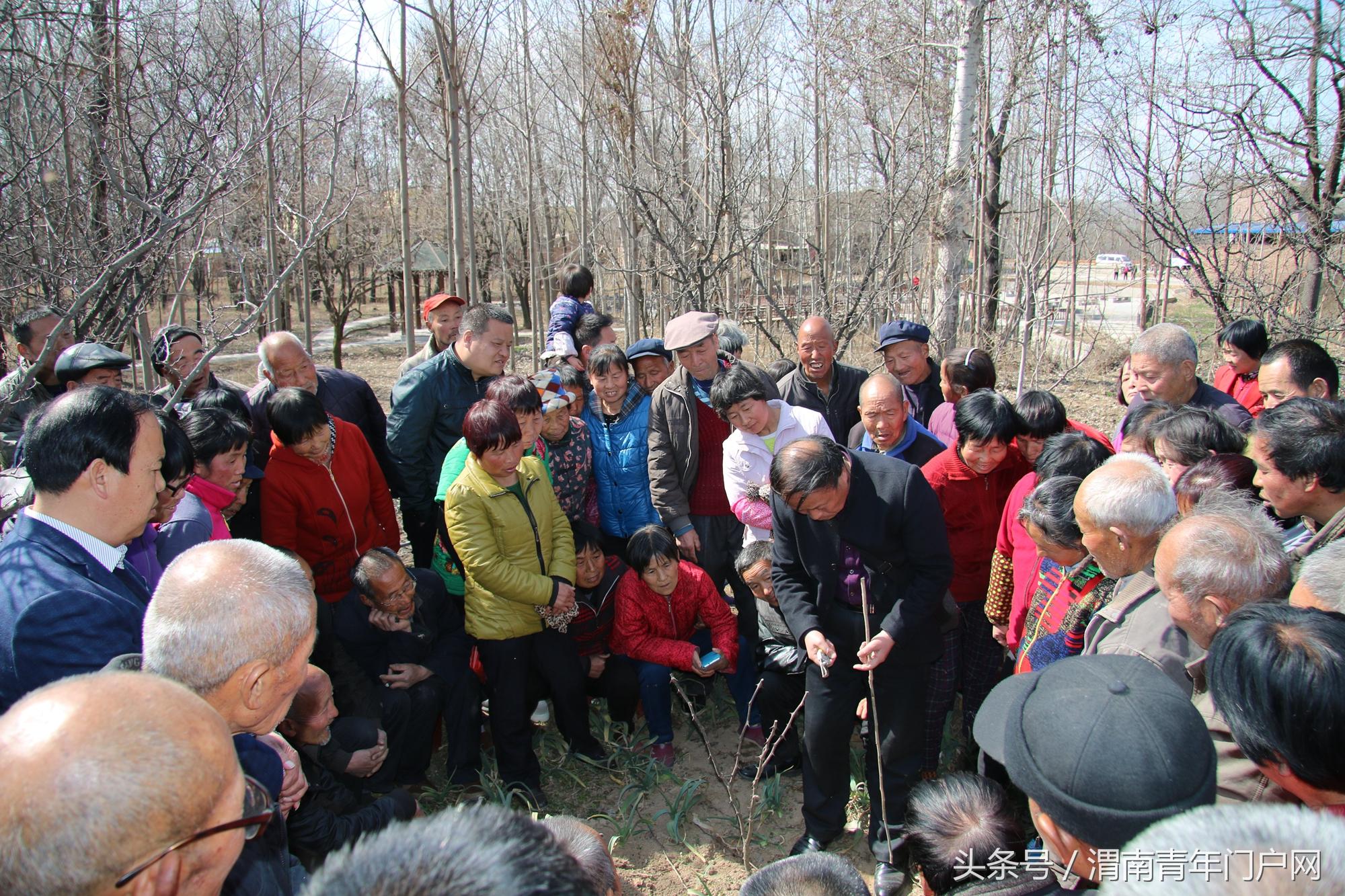 一壶老酒广场舞热潮，全民舞动的新篇章