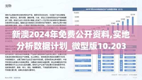 2024新澳最精准免费资料,迅速设计执行方案_T91.900