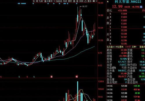 2024香港特马今晚开奖,经典解释落实_GT78.800