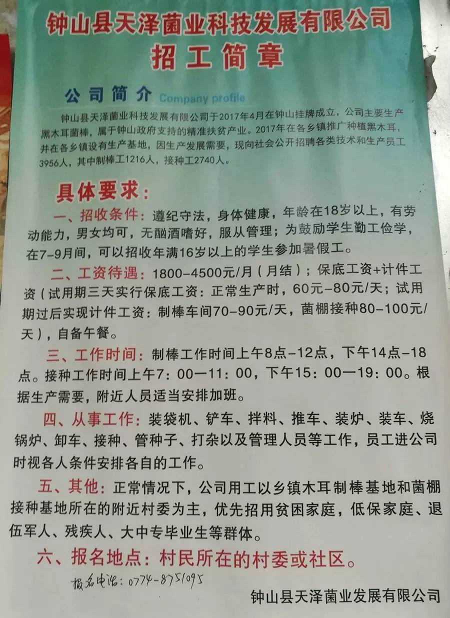 三闸村委会最新招聘信息概览，职位空缺与申请指南