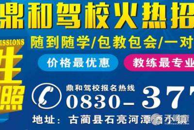 龙岗坑梓最新司机招聘信息，掌握就业机会的重要性