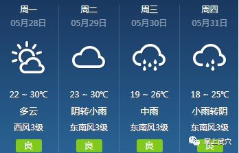 逍林镇最新天气预报汇总